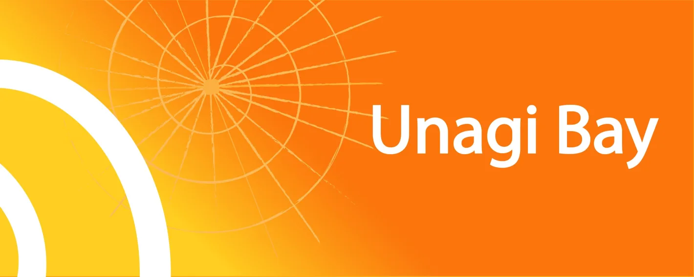 UnagiBay Heathcare Technology Solutions